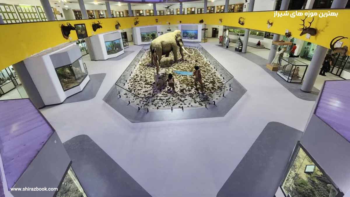 بهترین موزه های شیراز 