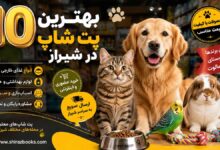 10 بهترین پت شاپ در شیراز